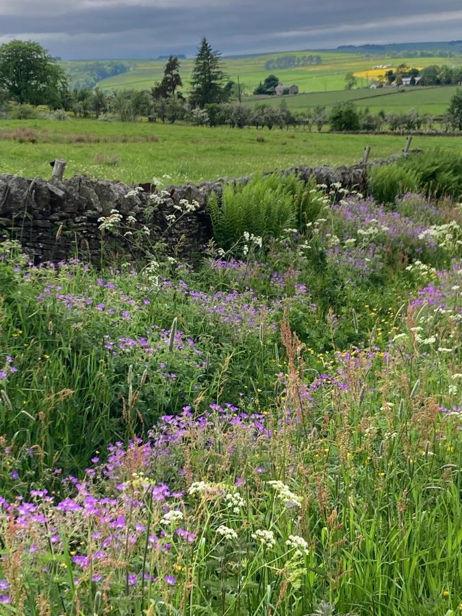 Hotspur House Bed & Breakfast Allendale Bagian luar foto